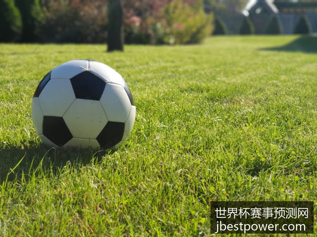 梅西带队逆,阿根廷,战胜巴西晋,世界杯赛事预测网官网,世界杯竞猜,赛事分析工具,足球预测,在线咨询,专业推荐,投注策略,实时更新