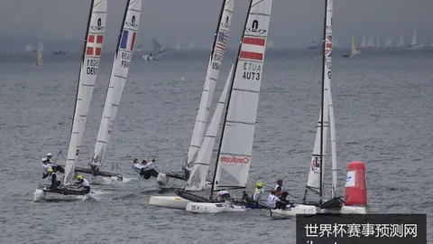 世界杯赛事预测网